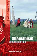 Shamanism: An Introduction