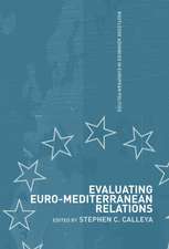 Evaluating Euro-Mediterranean Relations