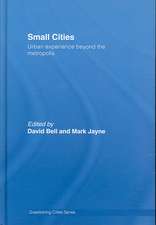 Small Cities: Urban Experience Beyond the Metropolis