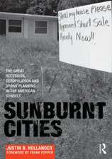 Sunburnt Cities: The Great Recession, Depopulation and Urban Planning in the American Sunbelt