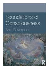 Foundations of Consciousness