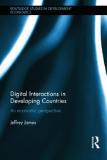 Digital Interactions in Developing Countries: An Economic Perspective