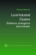 Local Industrial Clusters: Existence, Emergence and Evolution