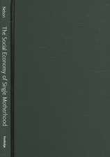 The Social Economy of Single Motherhood: Raising Children in Rural America