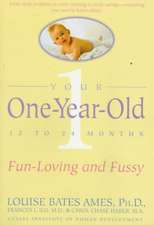 Your One-Year-Old: The Fun-Loving, Fussy 12-To 24-Month-Old