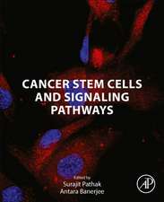 Cancer Stem Cells and Signaling Pathways