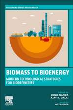 Biomass to Bioenergy: Modern Technological Strategies for Biorefineries