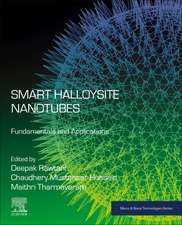 Smart Halloysite Nanotubes: Fundamentals and Applications