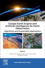 Google Earth Engine and Artificial Intelligence for Earth Observation: Algorithms and Sustainable Applications