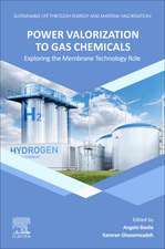 Power Valorization to Gas Chemicals