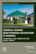 Chemical Looping Deoxygenated Gasification of Biomass