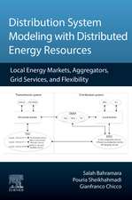 Distribution System Modeling with Distributed Energy Resources: Local Energy Markets, Aggregators, Grid Services, and Flexibility