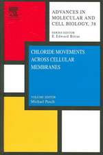 Chloride Movements Across Cellular Membranes