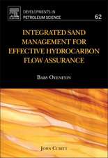 Integrated Sand Management For Effective Hydrocarbon Flow Assurance