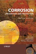 Corrosion Prevention and Protection – Practical Solutions