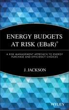 Energy Budgets at Risk (EBaR) – A Risk Management Approach to Energy Purchase and Efficiency Choices