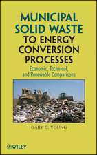 Young, G: Municipal Solid Waste to Energy Conversion Process