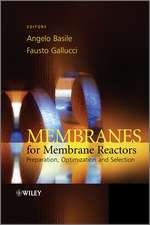 Membranes for Membrane Reactors – Preparation, Optimization and Selection