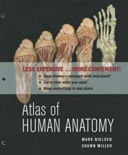 Atlas of Human Anatomy