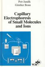 Capillary Electrophoresis of Small Molecules and Ions