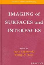 Imaging of Surfaces and Interfaces – Frontiers of Electrochemistry V 5