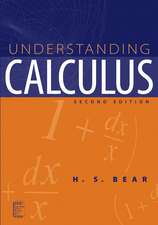 Understanding Calculus 2e