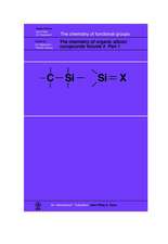 The Chemistry of Organic Silicon Compounds V 2 (3pt set)