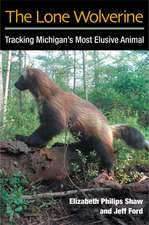 The Lone Wolverine: Tracking Michigan's Most Elusive Animal