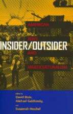 Insider/Outsider – American Jews & Multiculturalism (Paper)