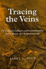 Tracing the Veins – Of Copper, Culture & Community from Butte to Chuquicamata (Paper)