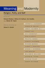 Meaning & Modernity – Religion, Polity & Self