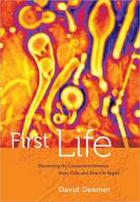 First Life – Discovering the Connections between Stars, Cells, and How Life Began