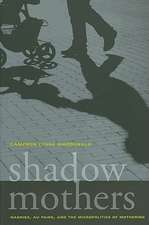 Shadow Mothers – Nannies, Au Pairs and the Micropolitics of Mothering