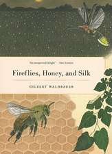 Fireflies, Honey and Silk