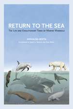 Return to the Sea