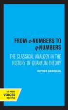 From c–Numbers to q–Numbers – The Classical Analogy in the History of Quantum Theory