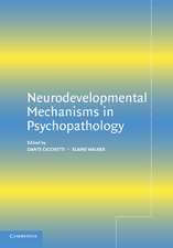 Neurodevelopmental Mechanisms in Psychopathology