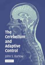 The Cerebellum and Adaptive Control