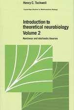 Introduction to Theoretical Neurobiology: Volume 2, Nonlinear and Stochastic Theories