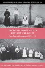 Changing Family Size in England and Wales: Place, Class and Demography, 1891–1911