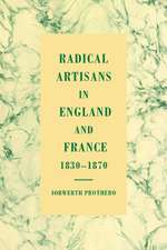 Radical Artisans in England and France, 1830–1870