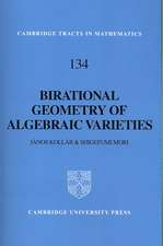 Birational Geometry of Algebraic Varieties