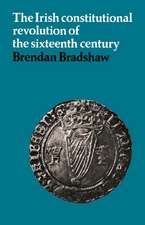 The Irish Constitutional Revolution of the Sixteenth Century