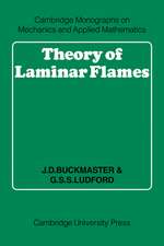 Theory of Laminar Flames