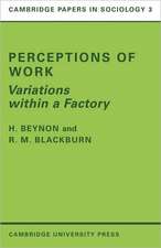 Perceptions of Work: Variations within a Factory