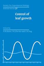 Control of Leaf Growth