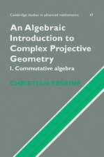 An Algebraic Introduction to Complex Projective Geometry: Commutative Algebra