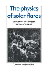 The Physics of Solar Flares