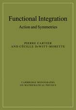 Functional Integration: Action and Symmetries