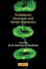 Turbulence Structure and Vortex Dynamics